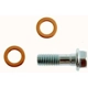 Purchase Top-Quality Front Banjo Bolt by RAYBESTOS - H9505 pa2
