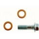 Purchase Top-Quality Front Banjo Bolt by RAYBESTOS - H9505 pa4