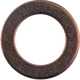 Purchase Top-Quality Front Banjo Bolt Washer by DORMAN - 484-185 pa2