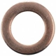 Purchase Top-Quality Rondelle de boulon Banjo avant par DORMAN/AUTOGRADE - 484-188.1 pa1