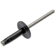 Purchase Top-Quality DORMAN/AUTOGRADE - 700-038 - Blind Rivet Retainer pa2