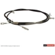 Purchase Top-Quality Câble de frein avant par MOTORCRAFT - BRCA167 pa2