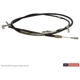 Purchase Top-Quality Câble de frein avant par MOTORCRAFT - BRCA167 pa3