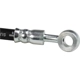 Purchase Top-Quality Front Brake Hose by BRAKEBEST - BH380058 pa3