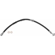 Purchase Top-Quality Front Brake Hose by BRAKEBEST - BH380488 pa2