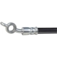 Purchase Top-Quality Front Brake Hose by BRAKEBEST - BH380923 pa1