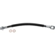 Purchase Top-Quality Front Brake Hose by BRAKEBEST - BH381102 pa2