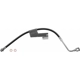 Purchase Top-Quality Front Brake Hose by BRAKEBEST - BH38808 pa1