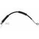 Purchase Top-Quality Front Brake Hose by BRAKEBEST - BH38895 pa1