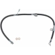 Purchase Top-Quality Front Brake Hose by BRAKEBEST - BH620951 pa1