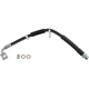 Purchase Top-Quality Front Brake Hose by BRAKEBEST - BH621310 pa1