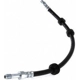 Purchase Top-Quality Front Brake Hose by CENTRIC PARTS - 150.33025 pa1