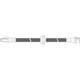 Purchase Top-Quality Front Brake Hose by CENTRIC PARTS - 150.34023 pa1