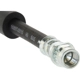Purchase Top-Quality Front Brake Hose by CENTRIC PARTS - 150.39021 pa3