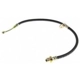 Purchase Top-Quality Front Brake Hose by CENTRIC PARTS - 150.40071 pa10