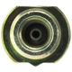 Purchase Top-Quality Front Brake Hose by CENTRIC PARTS - 150.42070 pa4