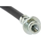Purchase Top-Quality Front Brake Hose by CENTRIC PARTS - 150.42152 pa2