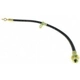 Purchase Top-Quality Front Brake Hose by CENTRIC PARTS - 150.44155 pa11