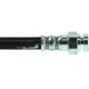 Purchase Top-Quality Front Brake Hose by CENTRIC PARTS - 150.45013 pa1