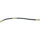 Purchase Top-Quality Front Brake Hose by CENTRIC PARTS - 150.45024 pa3