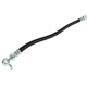 Purchase Top-Quality Front Brake Hose by CENTRIC PARTS - 150.45029 pa8