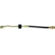Purchase Top-Quality Front Brake Hose by CENTRIC PARTS - 150.50359 pa1
