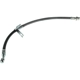 Purchase Top-Quality Front Brake Hose by CENTRIC PARTS - 150.51002 pa8