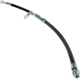 Purchase Top-Quality Front Brake Hose by CENTRIC PARTS - 150.51004 pa1
