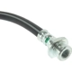 Purchase Top-Quality Front Brake Hose by CENTRIC PARTS - 150.61055 pa2