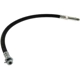 Purchase Top-Quality Front Brake Hose by CENTRIC PARTS - 150.62000 pa2