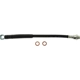 Purchase Top-Quality Front Brake Hose by CENTRIC PARTS - 150.62018 pa1