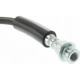 Purchase Top-Quality Front Brake Hose by CENTRIC PARTS - 150.62033 pa4