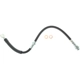 Purchase Top-Quality Front Brake Hose by CENTRIC PARTS - 150.62038 pa2