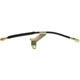 Purchase Top-Quality Front Brake Hose by CENTRIC PARTS - 150.62056 pa6