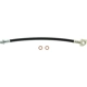 Purchase Top-Quality Front Brake Hose by CENTRIC PARTS - 150.62064 pa2