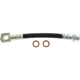 Purchase Top-Quality Front Brake Hose by CENTRIC PARTS - 150.62343 pa2