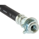 Purchase Top-Quality Front Brake Hose by CENTRIC PARTS - 150.64007 pa2