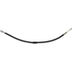 Purchase Top-Quality Front Brake Hose by CENTRIC PARTS - 150.65006 pa1
