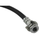 Purchase Top-Quality Front Brake Hose by CENTRIC PARTS - 150.65033 pa2