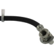 Purchase Top-Quality Front Brake Hose by CENTRIC PARTS - 150.65085 pa1