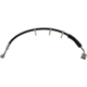 Purchase Top-Quality Front Brake Hose by CENTRIC PARTS - 150.65101 pa2