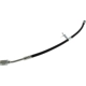 Purchase Top-Quality Front Brake Hose by CENTRIC PARTS - 150.66007 pa2