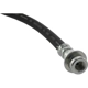 Purchase Top-Quality Front Brake Hose by CENTRIC PARTS - 150.66048 pa1