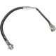 Purchase Top-Quality Front Brake Hose by CENTRIC PARTS - 150.66048 pa6