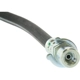 Purchase Top-Quality Front Brake Hose by CENTRIC PARTS - 150.66059 pa1