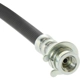 Purchase Top-Quality Front Brake Hose by CENTRIC PARTS - 150.66062 pa6