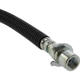 Purchase Top-Quality Front Brake Hose by CENTRIC PARTS - 150.66093 pa1