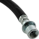 Purchase Top-Quality Front Brake Hose by CENTRIC PARTS - 150.66128 pa9