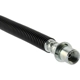 Purchase Top-Quality Front Brake Hose by CENTRIC PARTS - 150.66379 pa10