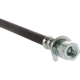 Purchase Top-Quality Front Brake Hose by CENTRIC PARTS - 150.67091 pa6